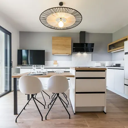 Avec Piscine Chauffee, Spa, Proche Et Commerces, Jardin Privatif Et - Fr-1-306-1207 بيت للعطل